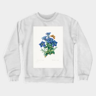 Flower painting, Gentiana Acaulis by Pierre-Joseph (1759–1840) Crewneck Sweatshirt